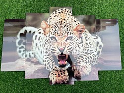 5 in 1 Split Picture Frame